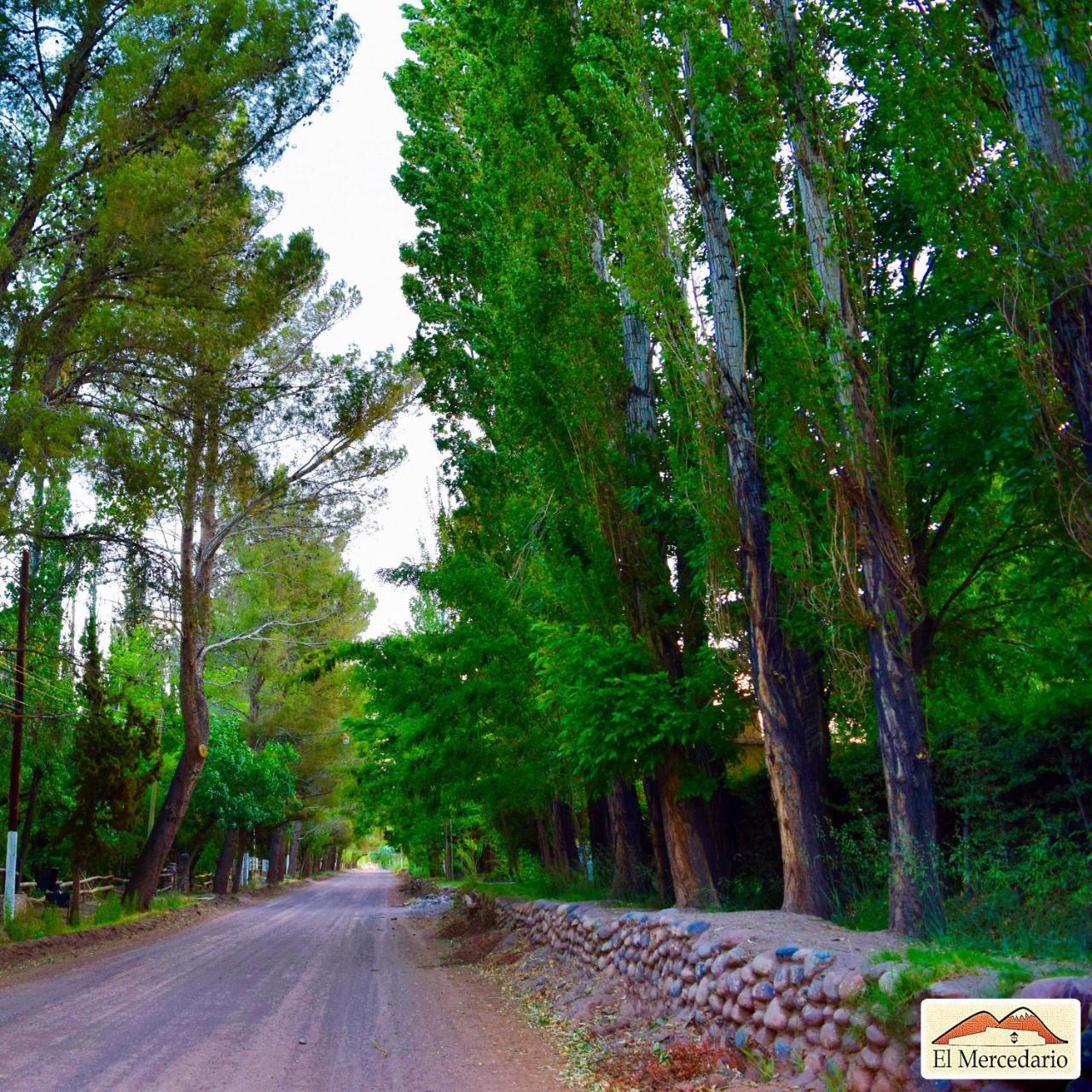 Ecoposada El Mercedario Barreal Εξωτερικό φωτογραφία